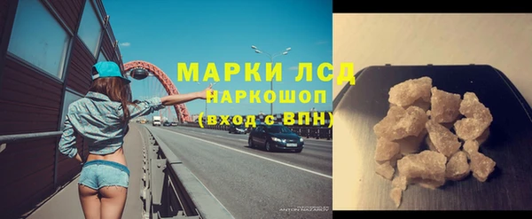 индика Кинешма