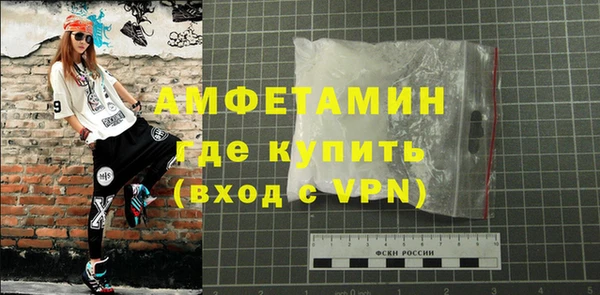 индика Кинешма