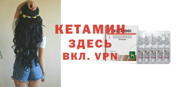 индика Кинешма
