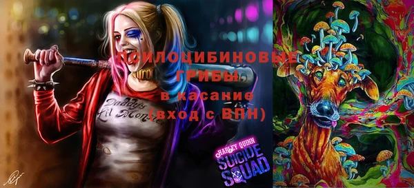 гидра Киренск