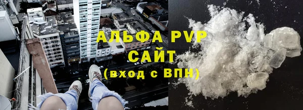 индика Кинешма