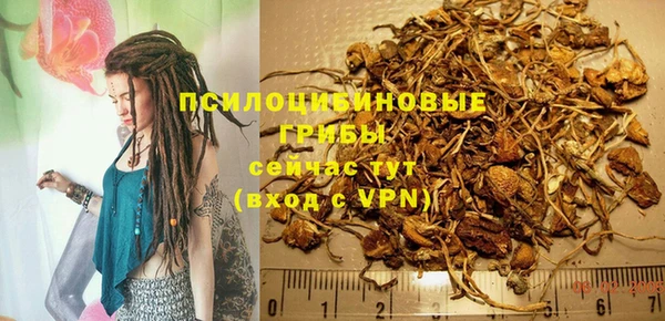 гидра Киренск