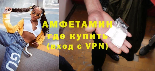 индика Кинешма
