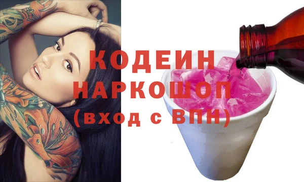 хмурый Кодинск