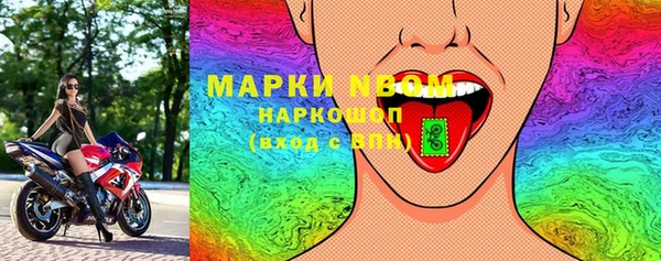 индика Кинешма