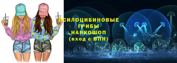 индика Кинешма
