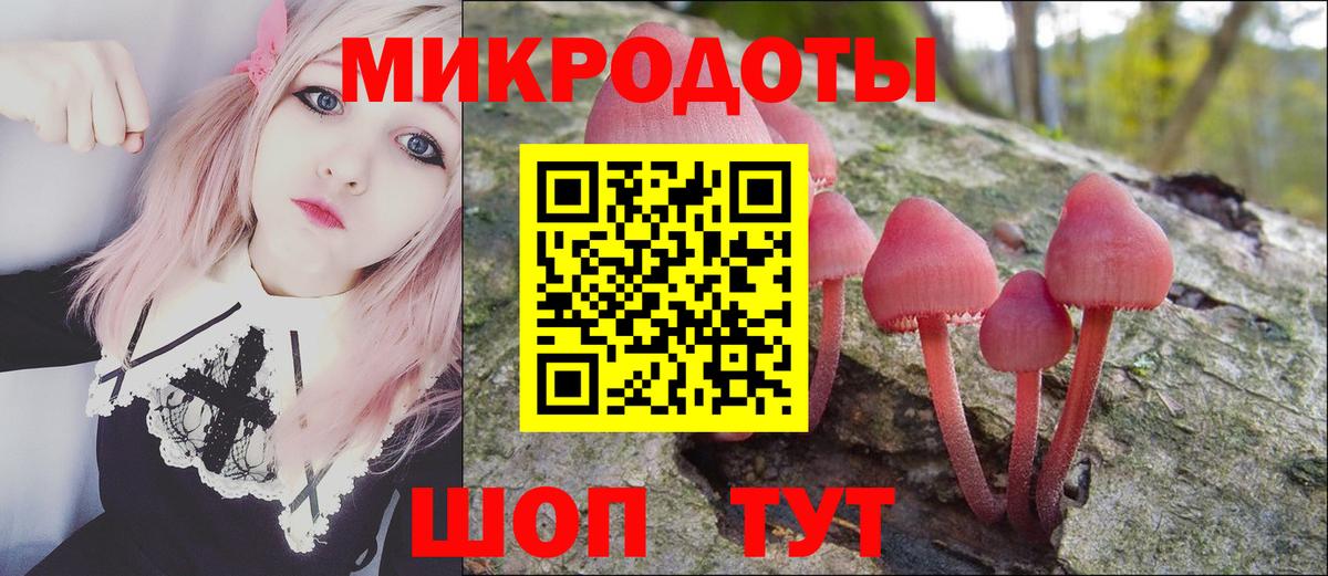 Малгобек  Галлюциногенные грибы Psilocybine cubensis  Вход с VPN 